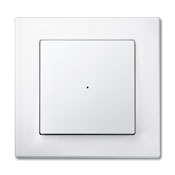 Product Picture as Published