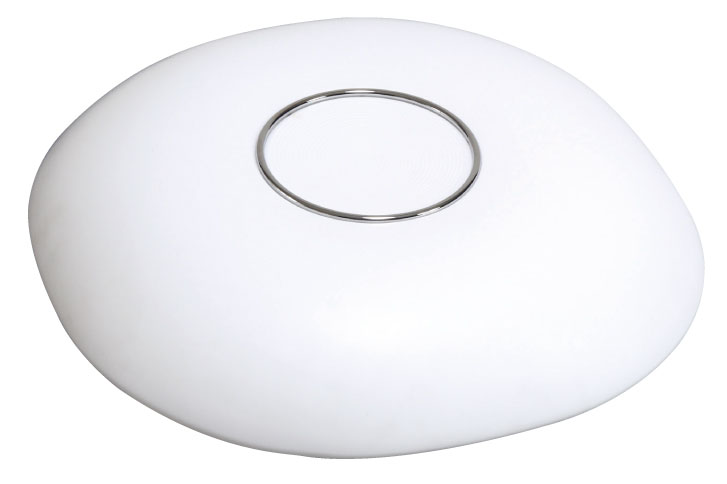 Product Main Picture