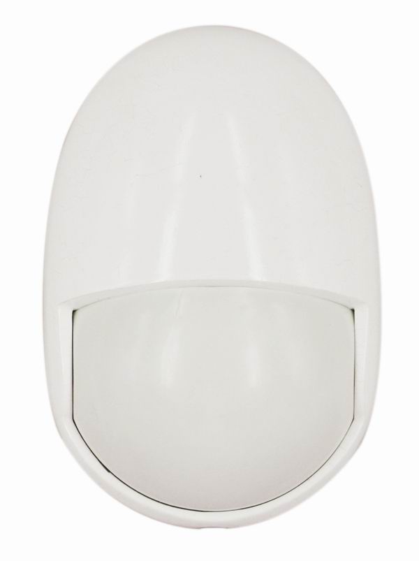 Product Main Picture