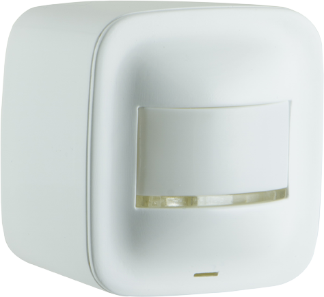 Product Main Picture