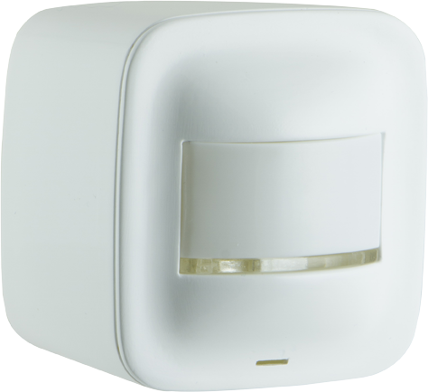 Product Main Picture