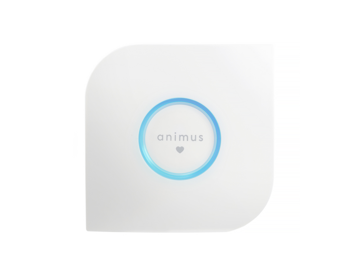Animus Heart by Animus Home