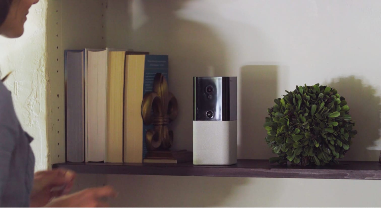 iota in context on a shelf