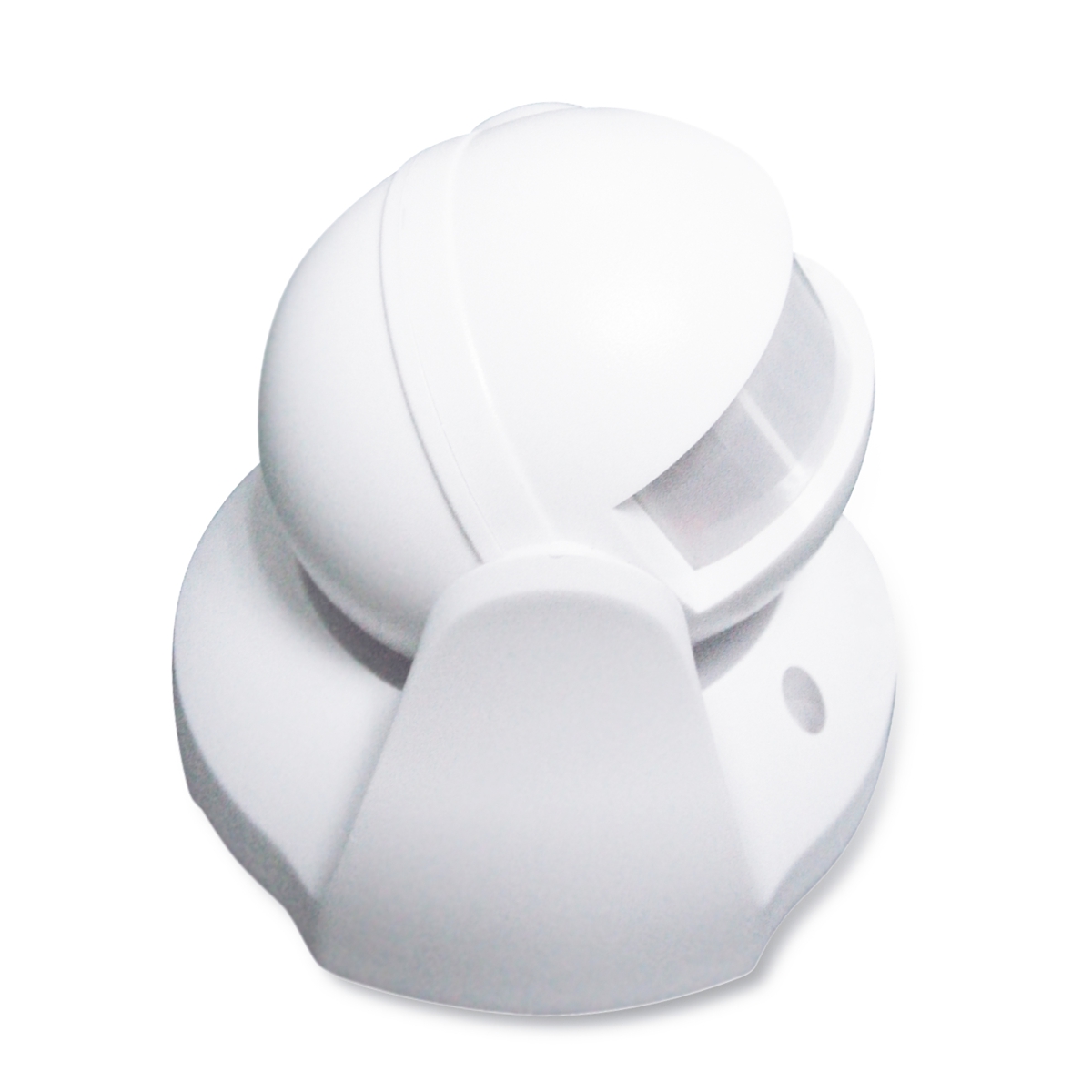 Product Main Picture