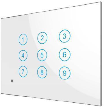 Product Main Picture